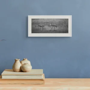 sandhill cranes graze ii new