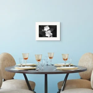 white flowers ii new